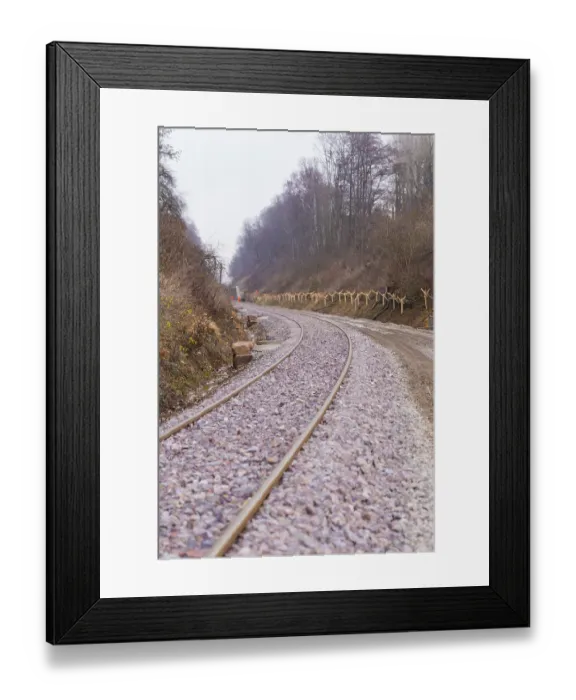 Framed Print : Curvy train tracks meander through a wooded Framed Print : Curvy train tracks meander through a wooded