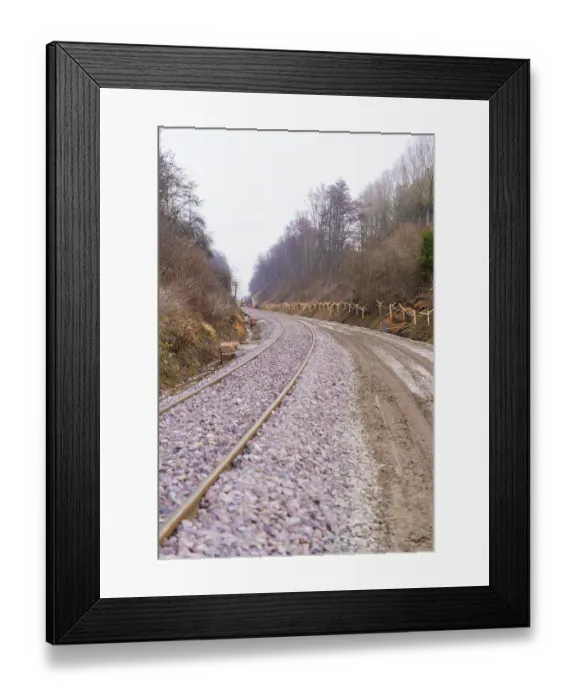 Framed Print : Railway tracks wind their way through a wooded Framed Print : Railway tracks wind their way through a wooded