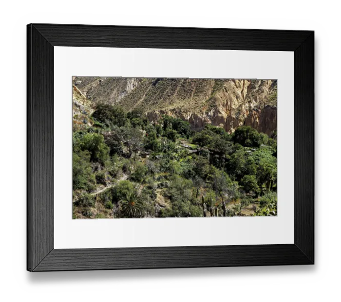 Framed Print : Lush vegetation and thick trees in a rocky gorge environment Framed Print : Lush vegetation and thick trees in a rocky gorge environment