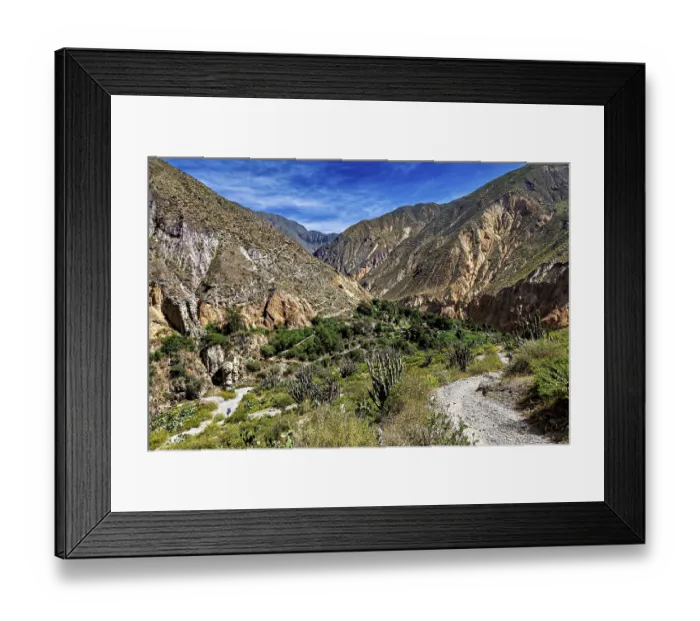 Framed Print : Mountain trail through a green
