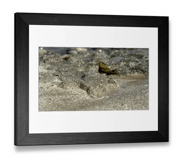 Framed Print : Close-up of sand and shells on a beach with water in the background