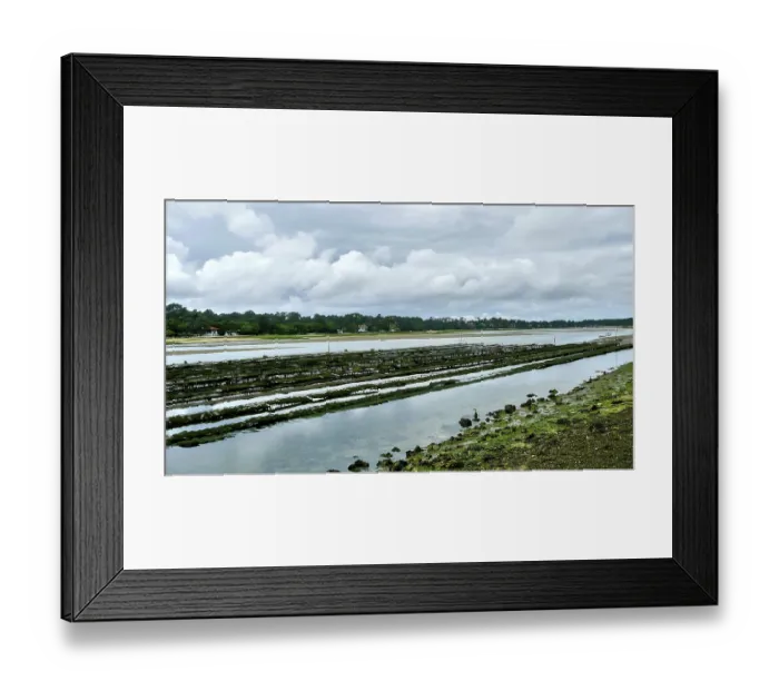 Framed Print : Coastal landscape with mussel beds under cloudy sky