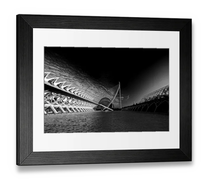 Framed Print : Ciutat de les Arts i les Ciencies