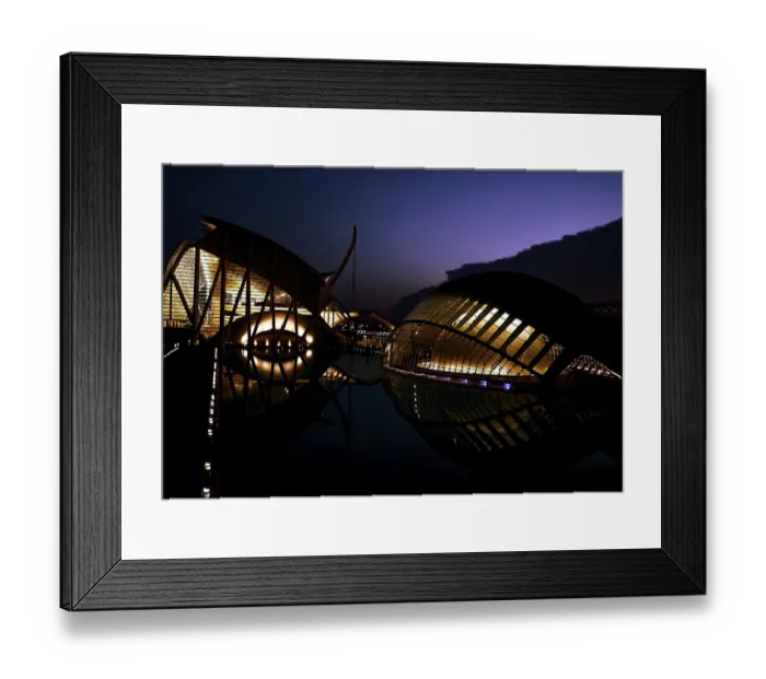 Framed Print : Ciutat de les Arts i les Ciencies Framed Print : Ciutat de les Arts i les Ciencies
