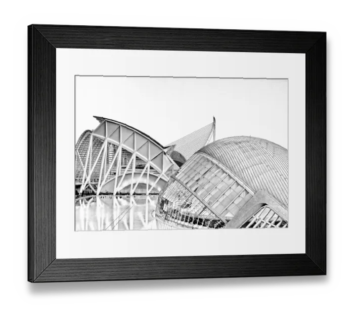 Framed Print : Ciutat de les Arts i les Ciencies