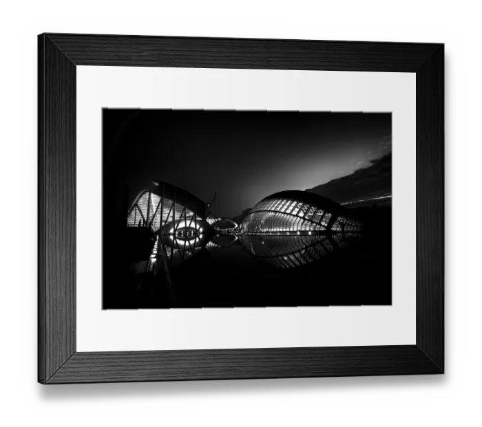Framed Print : Ciutat de les Arts i les Ciencies Framed Print : Ciutat de les Arts i les Ciencies