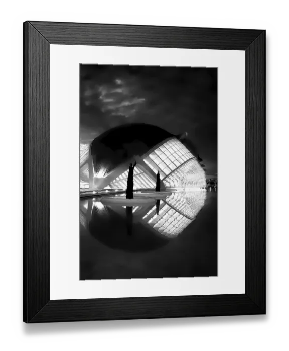 Framed Print : Ciutat de les Arts i les Ciencies