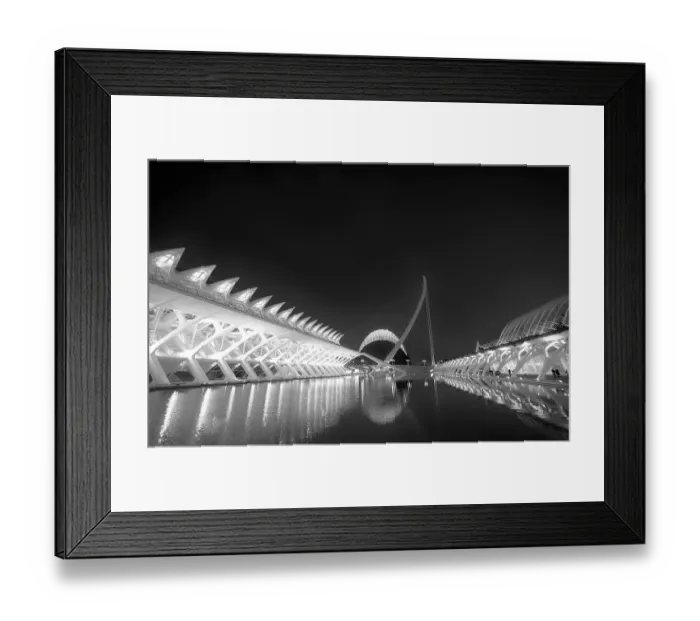 Framed Print : Ciutat de les Arts i les Ciencies