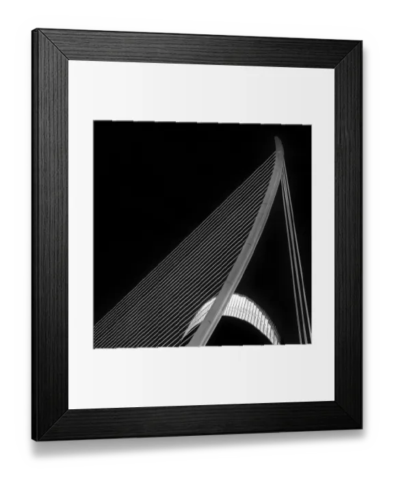 Framed Print : Ciutat de les Arts i les Ciencies Framed Print : Ciutat de les Arts i les Ciencies