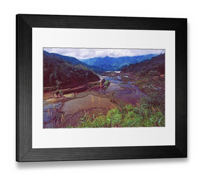 Framed Print : Unesco World Heritage: The Rice Terraces of Banaue on Luzon Island in the Philippines