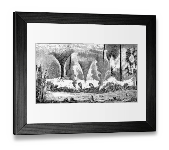 Framed Print : How whirlwinds arise over burning cane bushes