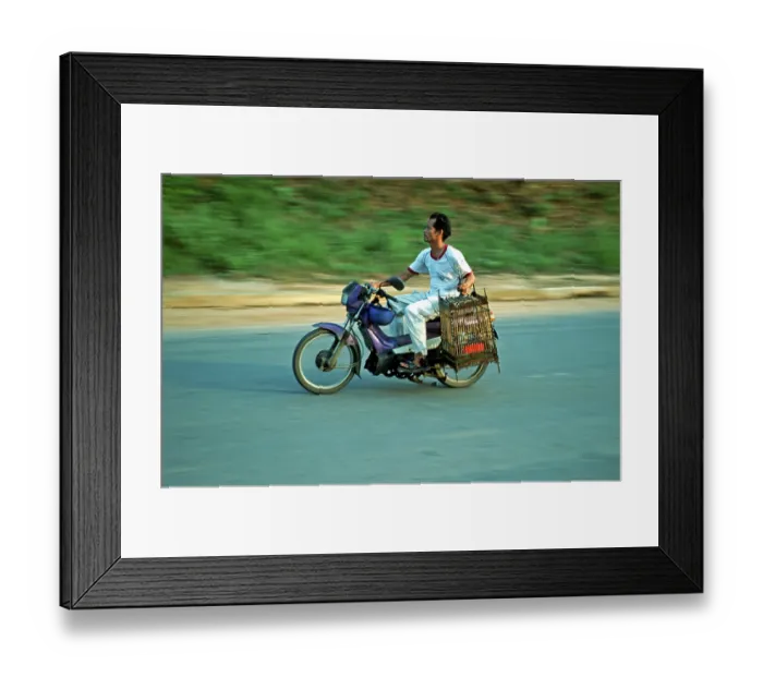 Framed Print : Man on moped holding birdhouses Framed Print : Man on moped holding birdhouses
