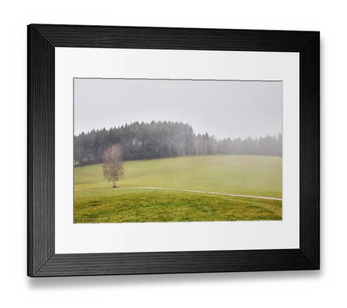 Framed Print : Coniferous forest, meadow, unpaved road