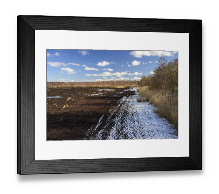 Framed Print : Mariendrebber, Drebber