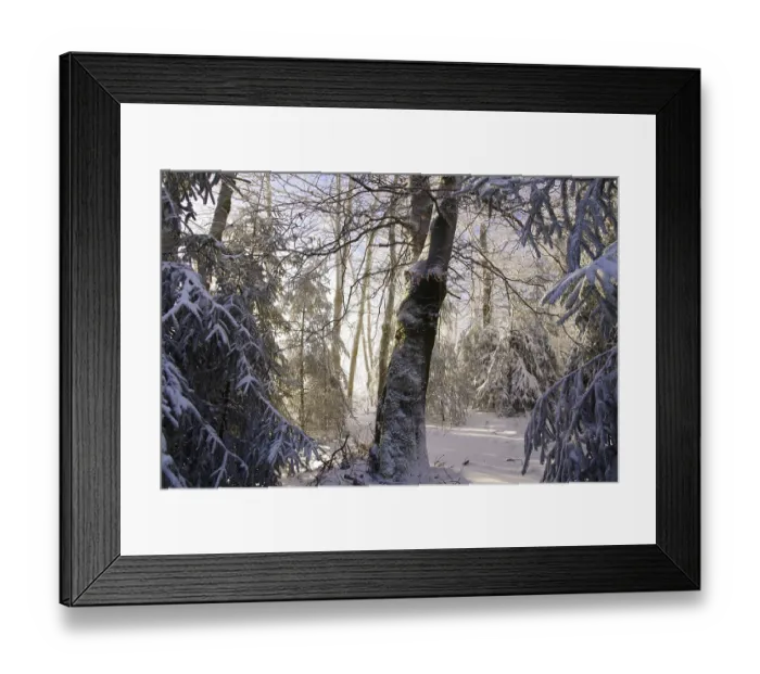 Framed Print : Winter landscape, snow, lighting atmosphere Framed Print : Winter landscape, snow, lighting atmosphere