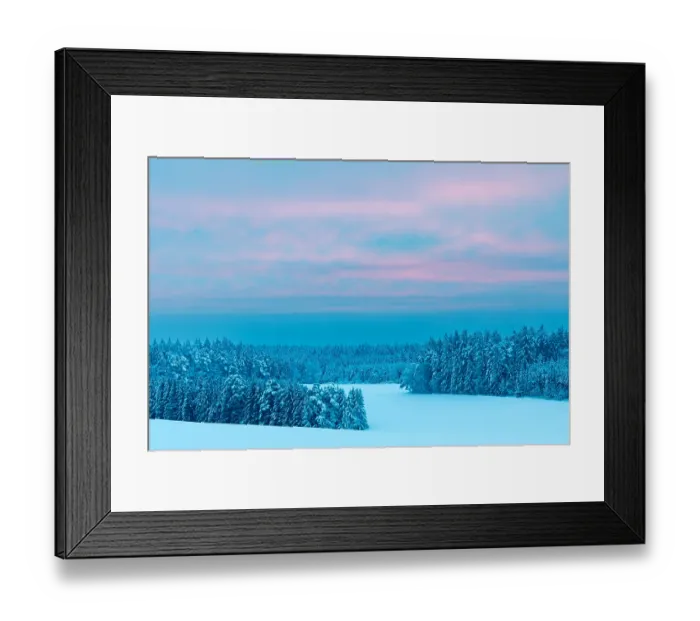 Framed Print : Winter forest, spruce (Picea), pine (Pinaceae) Framed Print : Winter forest, spruce (Picea), pine (Pinaceae)