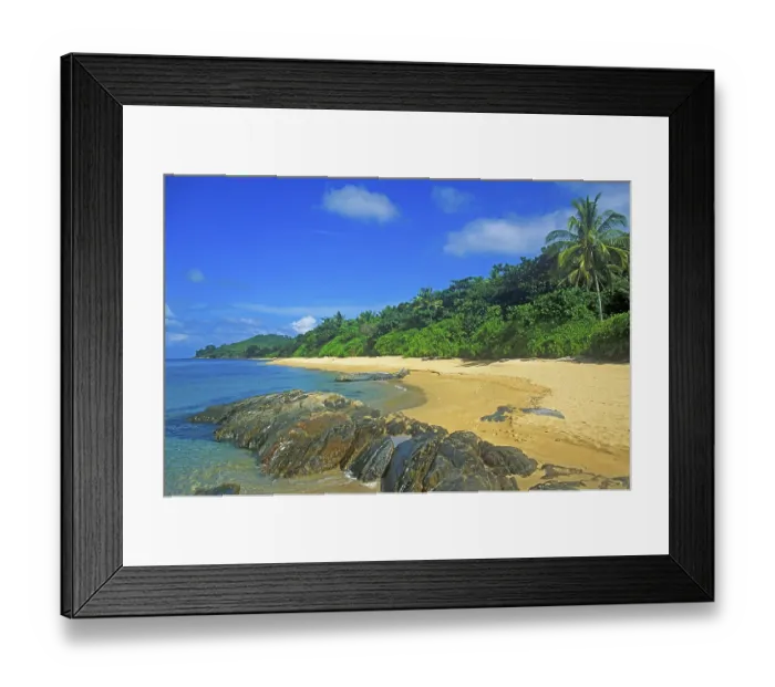 Framed Print : Palm tree, secluded beach on the island of Ko Lanta