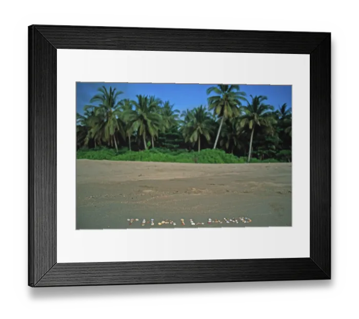 Framed Print : Palm trees, Thailand with shells written in the sand on the island of Ko Lanta Framed Print : Palm trees, Thailand with shells written in the sand on the island of Ko Lanta