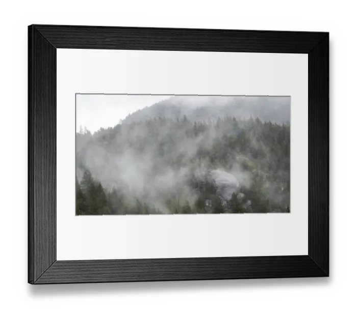 Framed Print : Lush forest covered in mist and fog Framed Print : Lush forest covered in mist and fog
