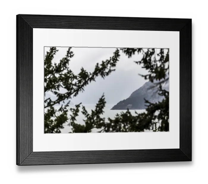 Framed Print : View through tree branches of water