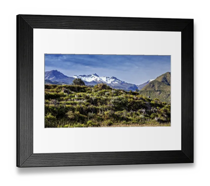Framed Print : Snow-capped mountains with thick vegetation in the foreground