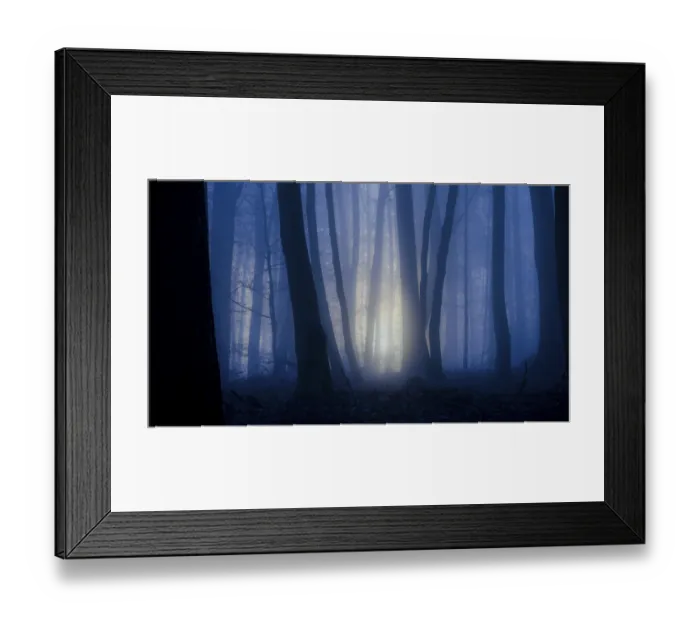 Framed Print : Dark forest with blue fog and rays of light through the trees Framed Print : Dark forest with blue fog and rays of light through the trees