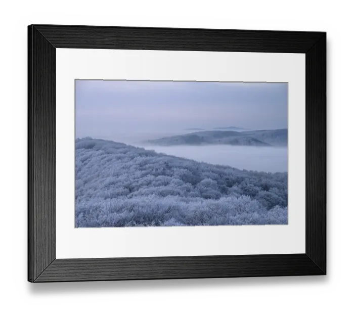 Framed Print : Snowy hills with trees and gentle fog in the distance