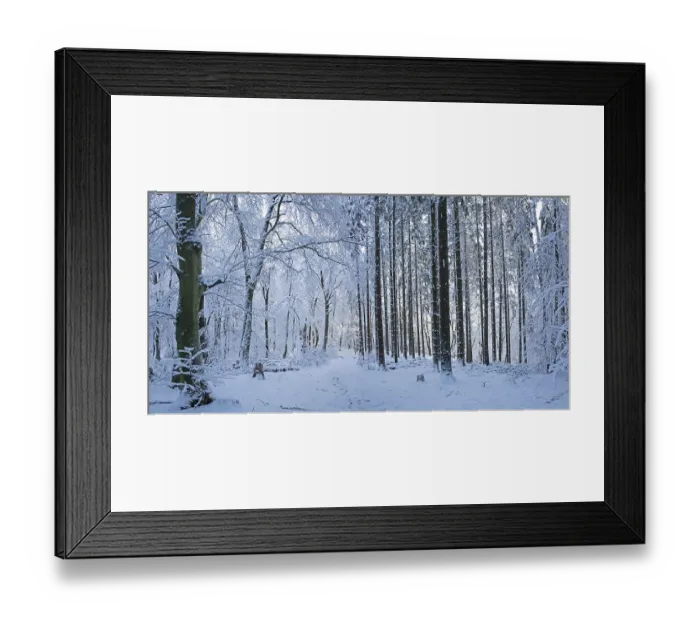 Framed Print : Snowy trees, tree trunks, photomerge