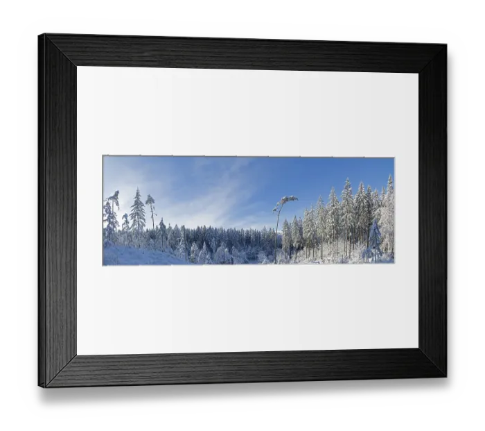 Framed Print : Snowy trees, conifers, photomerge