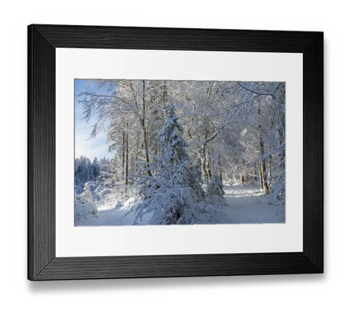 Framed Print : Snowy trees, forest, trails, snow