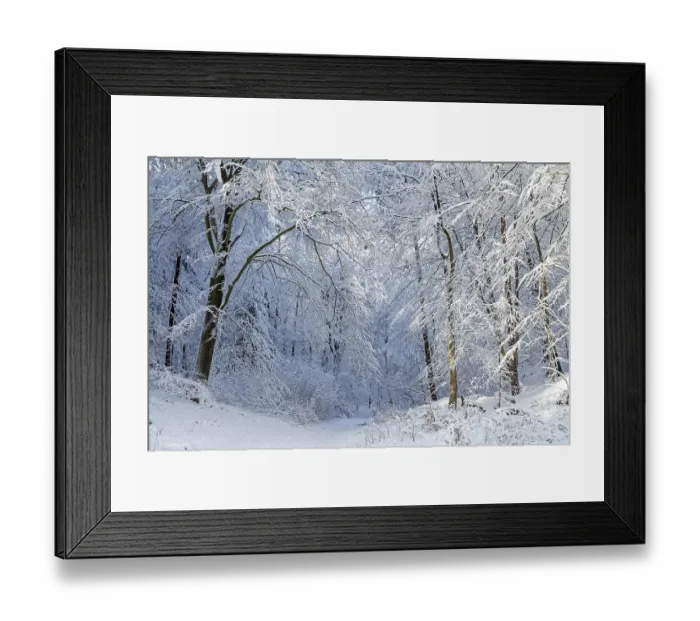 Framed Print : Snowy trees, forest, path, snow Framed Print : Snowy trees, forest, path, snow