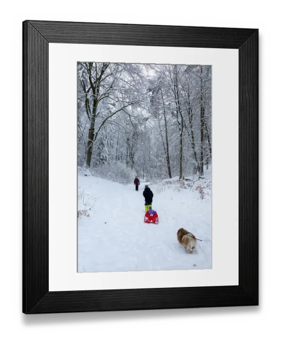 Framed Print : Family goes sledding in the woods Framed Print : Family goes sledding in the woods