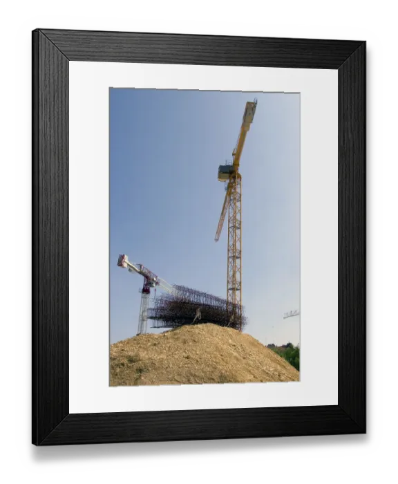 Framed Print : Cranes under blue sky