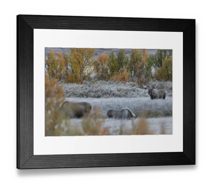 Framed Print : After a few minutes have passed
