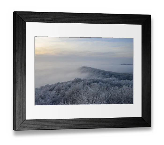 Framed Print : Snowy range of hills with frosty trees in the morning light