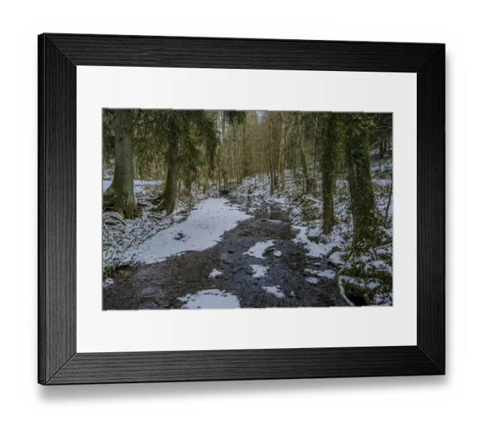 Framed Print : A small stream flows through a forest