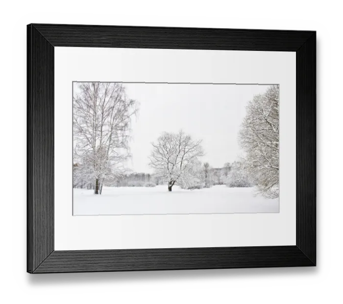 Framed Print : Winter landscape, two trees in snow big and small