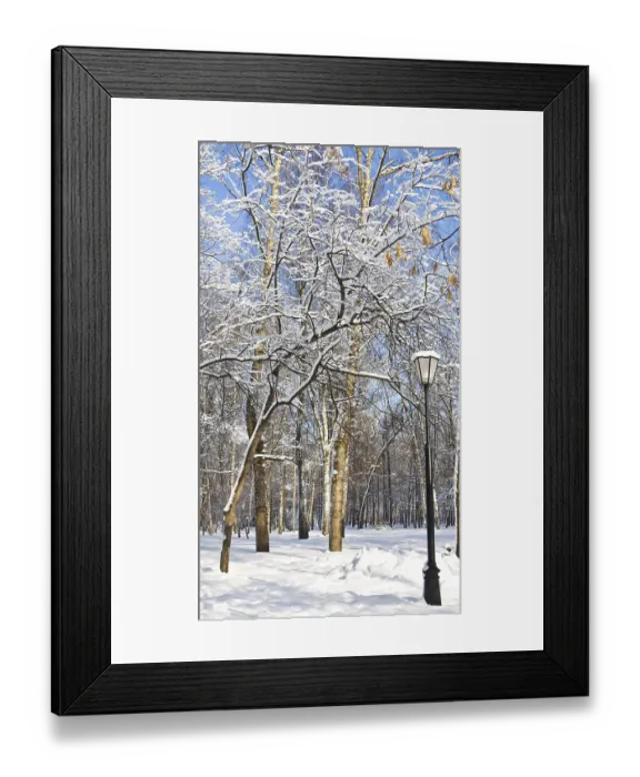 Framed Print : Winter landscape, forest in snow in park and street light in summy day Framed Print : Winter landscape, forest in snow in park and street light in summy day