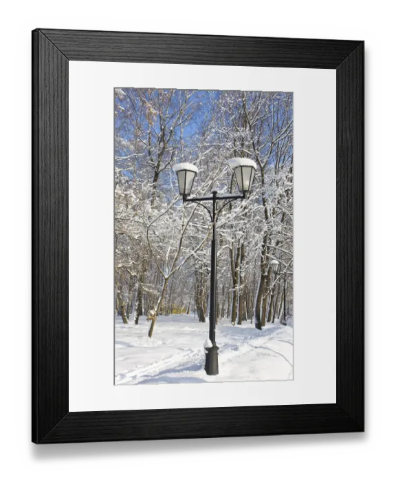 Framed Print : Winter landscape, park with trees in slow and street lamp on sunny day with blue sky