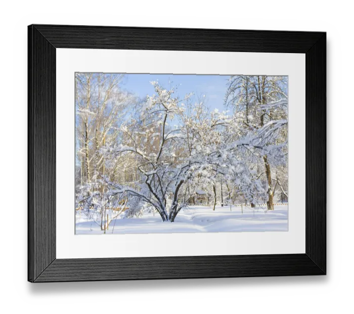 Framed Print : Winter landscape, garden with trees in snow