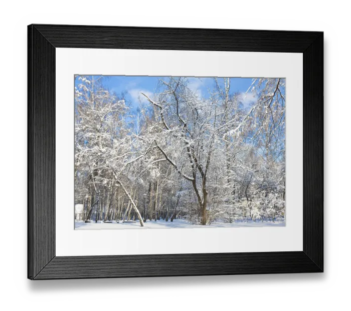 Framed Print : Winter landscape, forest in snow in sunny day on blue sky Framed Print : Winter landscape, forest in snow in sunny day on blue sky