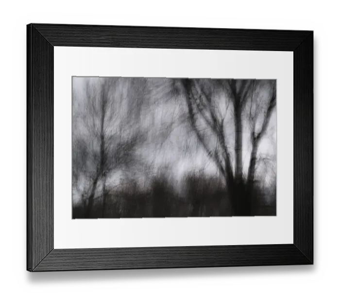Framed Print : Winter forest, blurred, long exposure Framed Print : Winter forest, blurred, long exposure