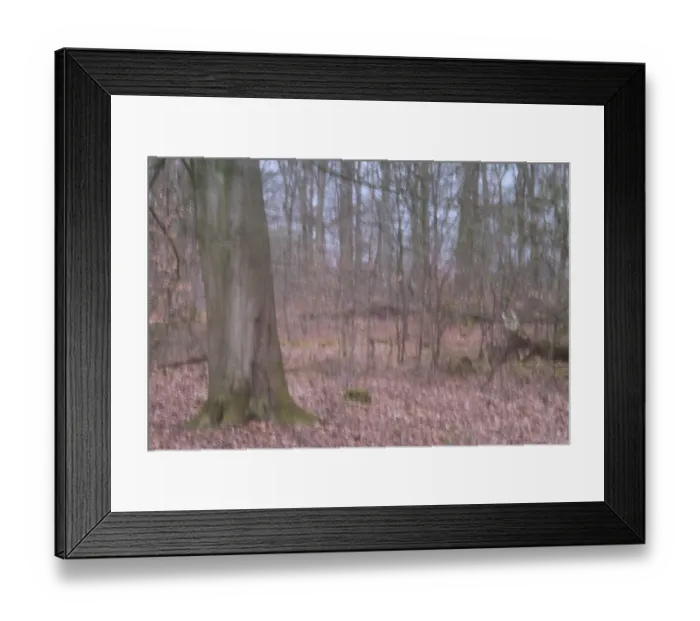 Framed Print : Deciduous forest, blurred, long exposure