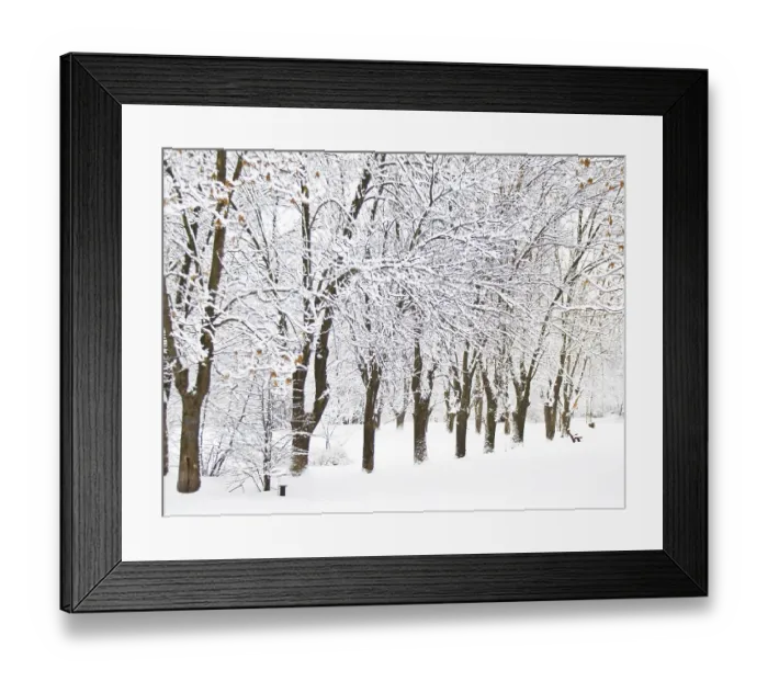 Framed Print : Winter landscape with forest in snow