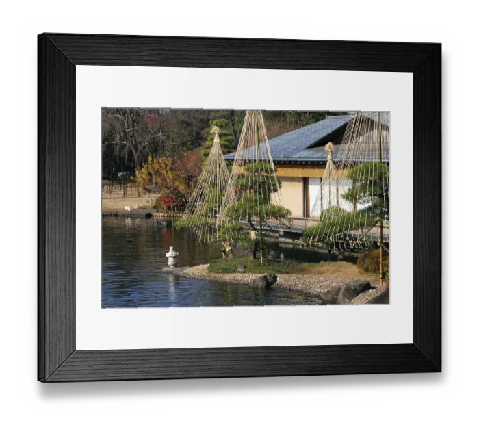 Framed Print : Japanese garden background with pond