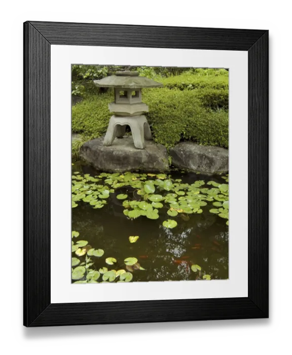 Framed Print : Traditional japanese garden, stone lantern and small pond with small red fishes