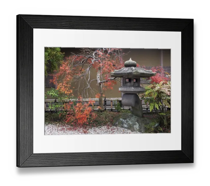 Framed Print : Japanese lantern and autumnal maple tree - momiji