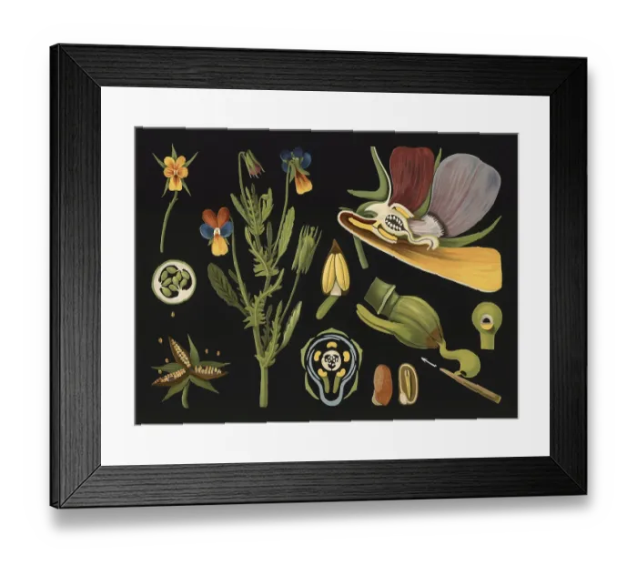 Framed Print : Scientific illustration with details Framed Print : Scientific illustration with details