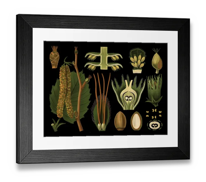 Framed Print : Scientific illustration with details