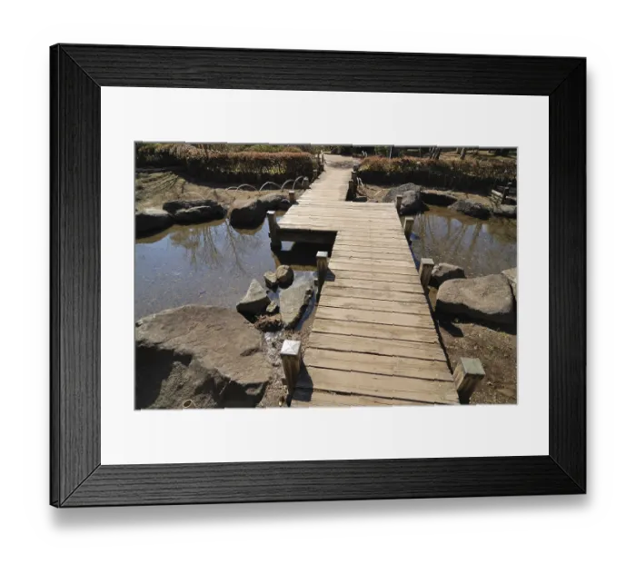 Framed Print : Scenic wooden bridge in Japanese garden by bright sunny day